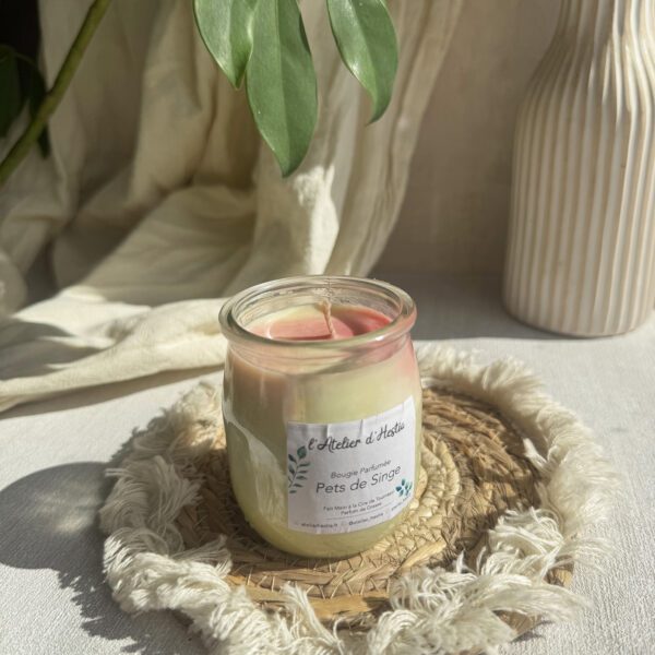 Bougie Pets de Singe